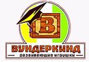 Вундеркинд