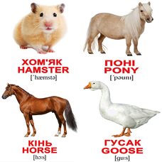 Мини-карточки украинско-английские «Домашние животные», 40