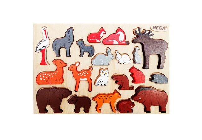 Набор «Лесные животные» цветной