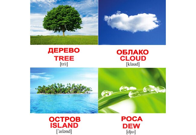 Мини-карточки «Природа/Nature», 80