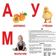 Большие русские карточки «Алфавит»