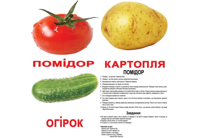 Великі українські картки з фактами «Овочі», 20