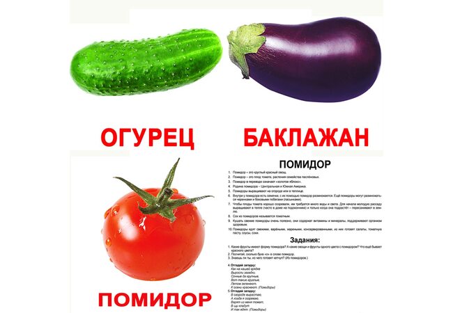 Великі російські картки з фактами «Овочі», 20