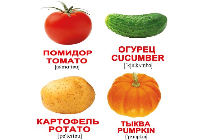 Міні-картки «Овочі / Vegetables», 40