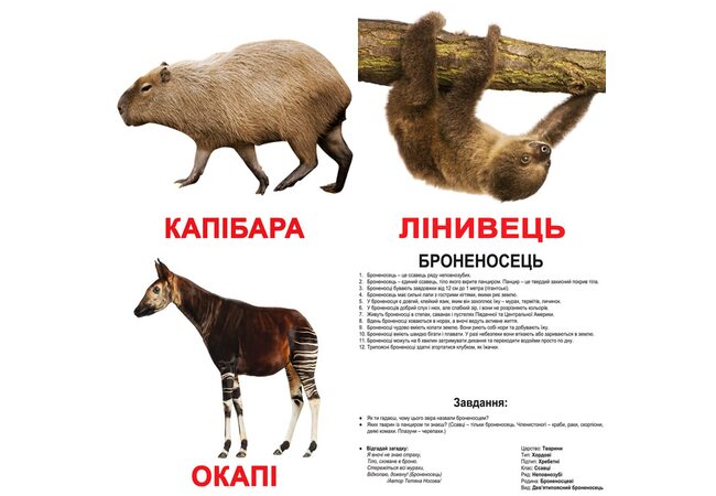 Великі українські картки з фактами «Екзотичні тварини», 20