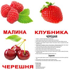 Большие русские карточки с фактами «Ягоды», 20