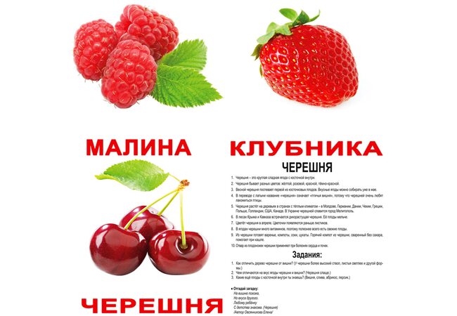 Великі російські картки з фактами «Ягоди», 20