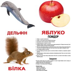 Большие украинские карточки с фактами «Мои первые знания»