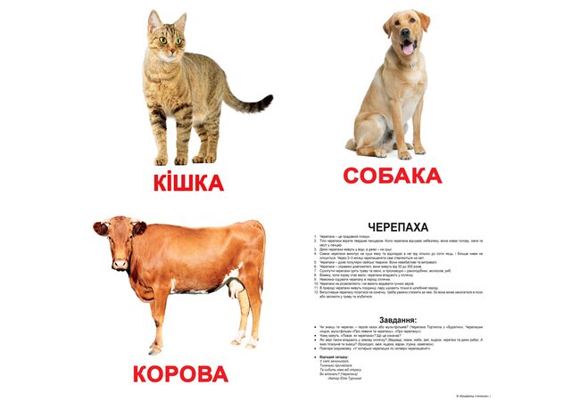 Великі українські картки з фактами «Домашні тварини». Ламіновані.