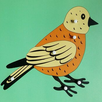 Строение птицы