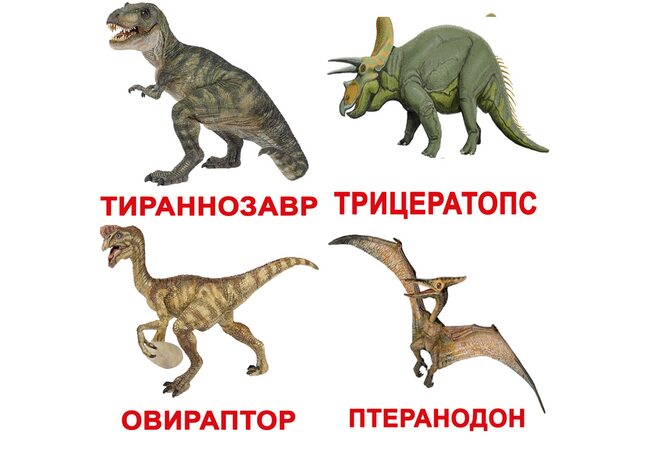 Великі російські картки з фактами «Динозаври». Ламіновані.