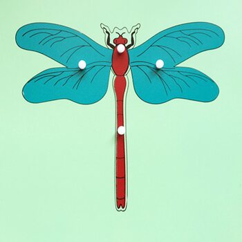 Строение стрекозы