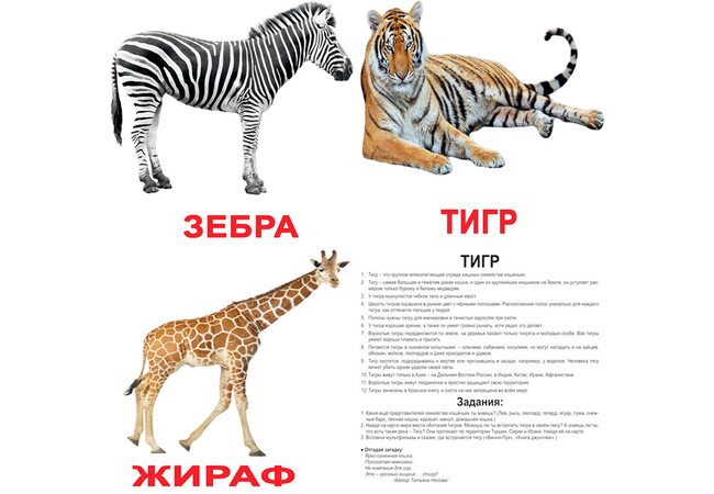 Великі російські картки з фактами «Дикі тварини» .Ламіновані.