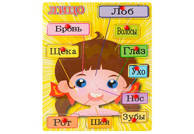 Вкладыши «Части тела» (Лицо)