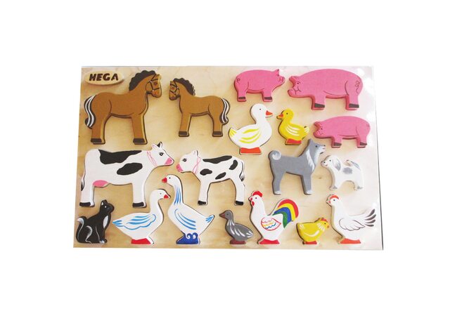 Набор «Домашние животные» цветной