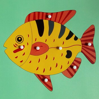 Строение рыбки