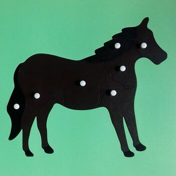 Строение лошади