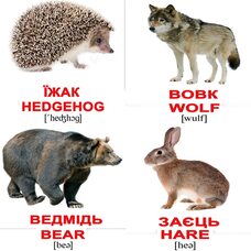 Мини-карточки украинско-английские «Дикие животные», 40