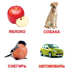 Большие русские карточки с фактами «Мои первые знания»