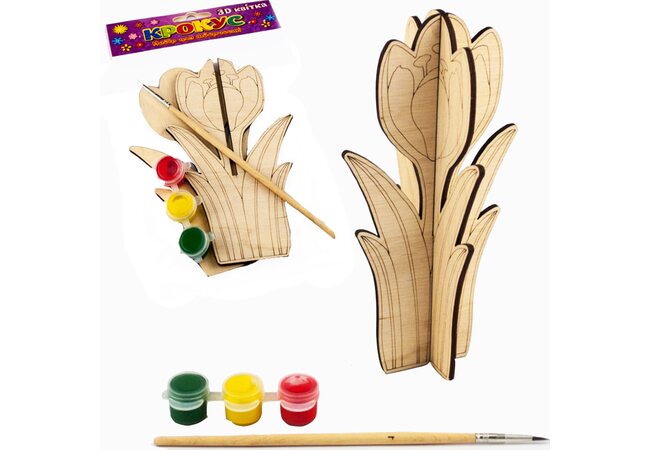 3D раскраска «Крокус»