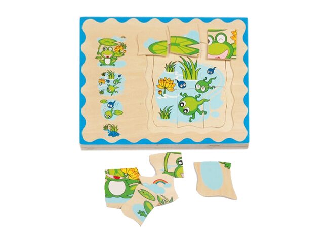 Маленький лягушонок