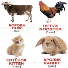 Мини-карточки «Домашние животные/Domestic animals», 40