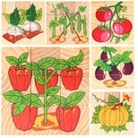 Кубики «Овощи на грядке», 9 шт Кубики «Овощи на грядке», 9 шт
