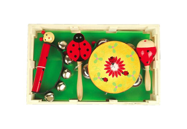 Музыкальный набор «Божья коровка»