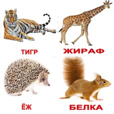 Русские карточки «Дикие животные с фактами» (МИНИ), 40