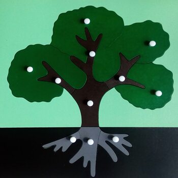 Части дерева