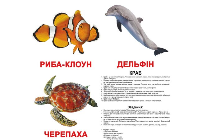 Великі українські картки з фактами «Мешканці води», 20