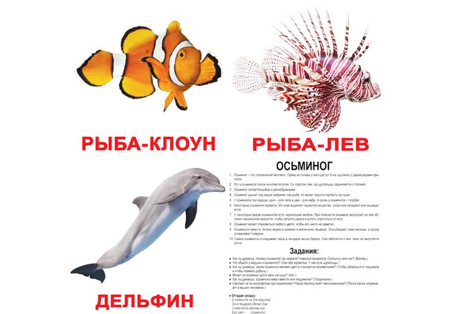 Великі російські картки з фактами «Мешканці води». Ламіновані.