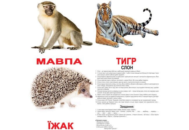 Большие украинские карточки с фактами «Дикие животные», 20