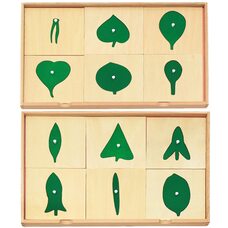 Биологический комод