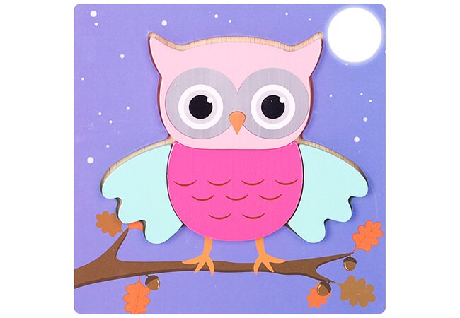 Вкладыши-пазлы объемные «Совушка», 4 дет.
