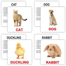 Большие английские карточки «Pets and farm», 30 (ламинированные). С инструкцией на укр. языке.