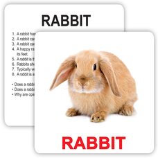 Большие английские карточки «Pets and farm», 30 (ламинированные). С инструкцией на укр. языке.