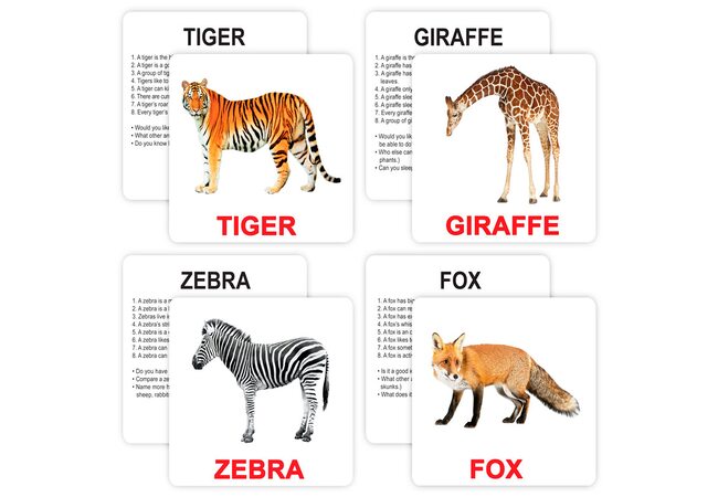 Большие английские карточки «Wild animals», 30 (ламинированные). С инструкцией на укр. языке. 