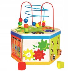 Бизикуб «Развитие»