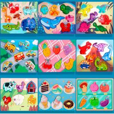 Объемные вкладыши по тематикам.