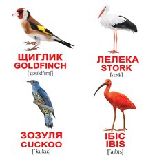 Мини-карточки украинско-английские «Птицы», 40