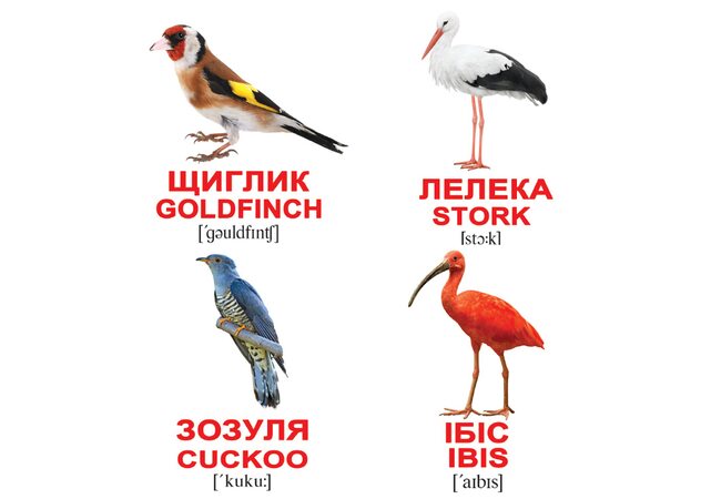 Міні-картки українсько-англійські «Птахи», 40