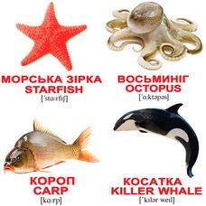 Мини-карточки украинско-английские «Водные животные», 40