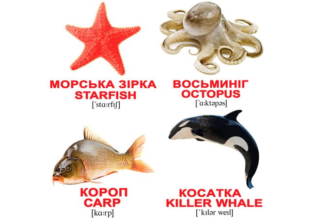 Мини-карточки украинско-английские «Водные животные», 40