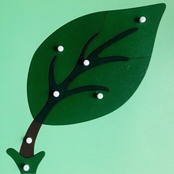 Части листа