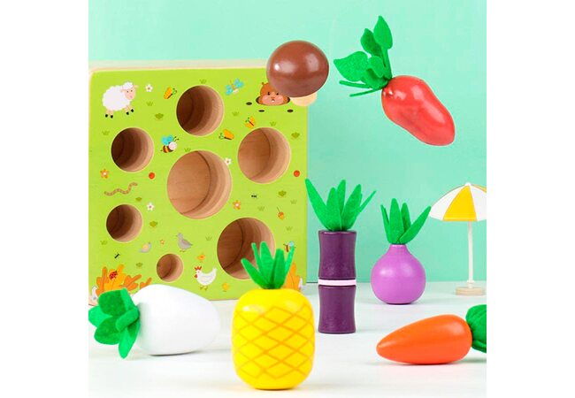 Деревянный набор «Овощи + ананас» цветные