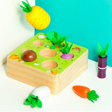 Деревянный набор «Овощи + ананас» цветные