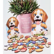 Игра-логика «Накорми собачек»