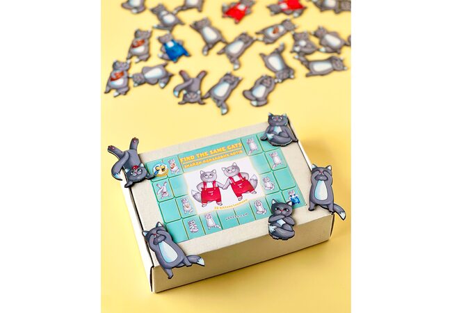 Знайди пару однакових котів