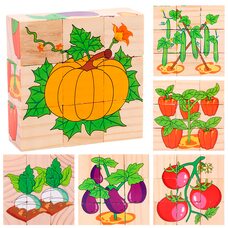 Кубики «Овощи на грядке», 9 шт